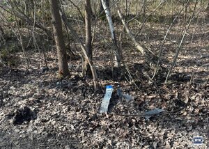 zdjęcie lasu z odnalezioną tablicą rejestracyjną