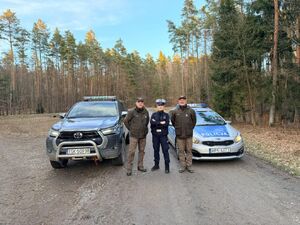 zdjęcie funkcjonariuszy pełniących służbę w terenie leśnym
